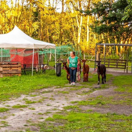 Glamping Z Alpakami Hotel Jankowice  Exterior photo